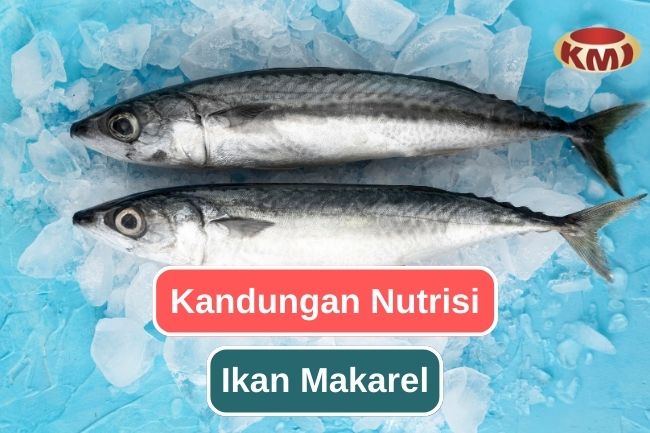 9 Jenis Nutrisi Yang Ada Dalam Ikan Makarel